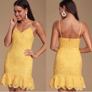 Sexy embroidered dress